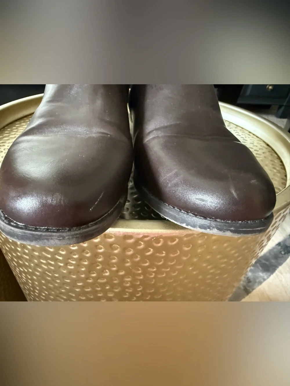 Lane Bryant Dark Brown Tall Riding Boots w/Stretch Back Size 10W
